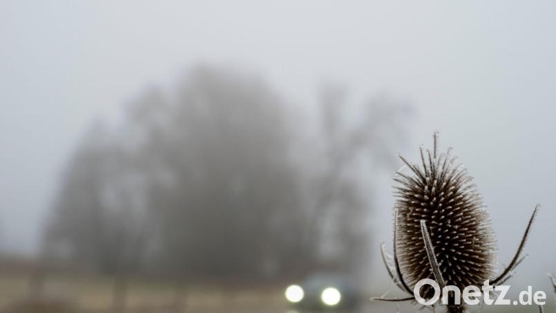 Trübes Wetter bestimmt den Samstag in weiten Teilen des Freistaats. (Archivbild) Bild: Stefan Puchner/dpa