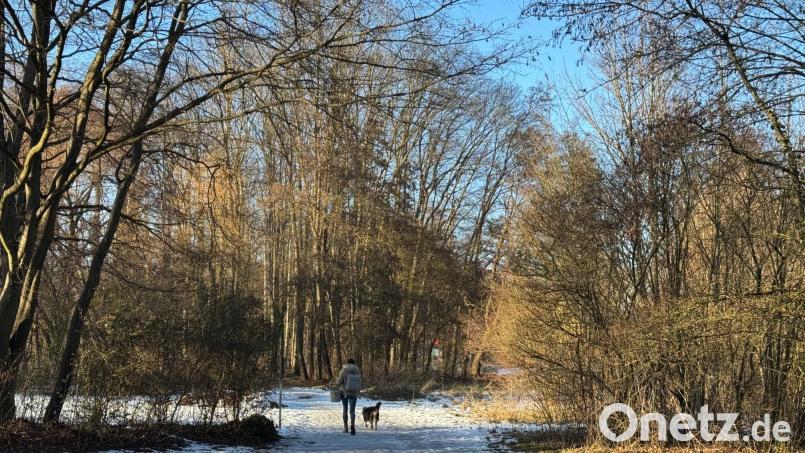Auf der Kräuterwiese hat die Amberg jetzt eine neue Technik zur Baumerfassung und -analyse ausprobiert – und ist begeistert. Bild: Heike Unger