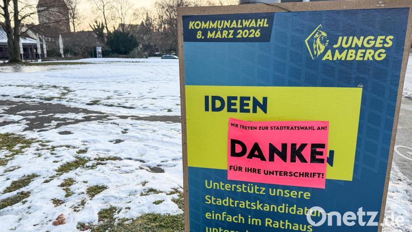 Mittlerweile ist auf den Plakaten der JU nur noch "Ideen" zu lesen. Vermutlich ist es kein Zufall, dass der Dank an die Unterstützer den zweiten Teil des Slogans verdeckt. Bild: Petra Hartl