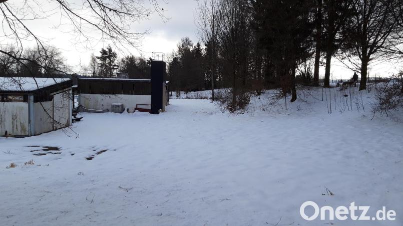 Am westlichen Rand des ehemaligen Freibadgeländes soll eine barrierefreie Bocciabahn entstehen. Die Gemeinde Brand stellt dazu einen Förderantrag im Rahmen eines Kleinprojekts bei der Steinwald-Allianz. Bild: wkr