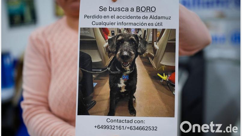 Über diese Familienzusammenführung freut sich ganz Spanien. Bild: Manu Fernandez/AP/dpa