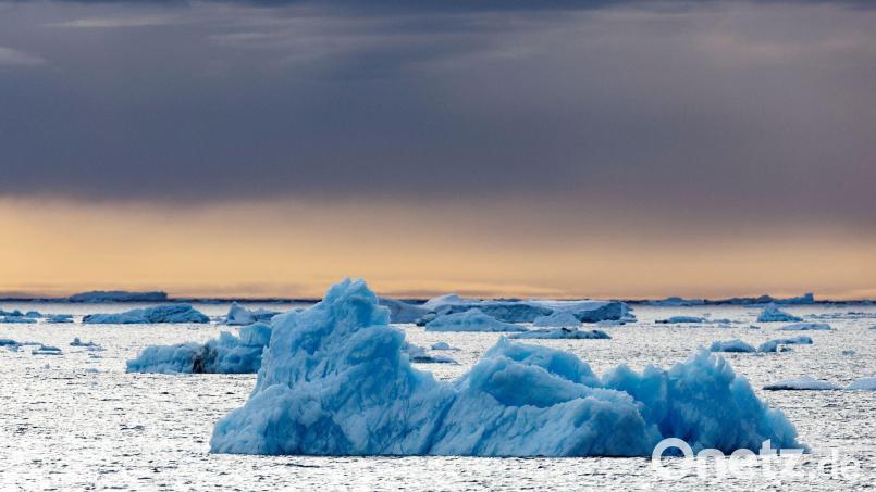 Die Dokumentation von Werner Herzog, in der der Pinguin vorkommt, ist aus dem Jahr 2007. (Archivfoto) Bild: John Weller/dpa