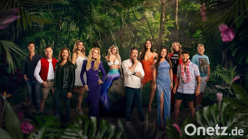 Das sind die Teilnehmer bei IBES: Stephen Dürr, Patrick Romer, Gil Ofarim, Eva Benetatou, Mirja du Mont, Ariel, Hardy Krüger, Samira Yavuz, Simone Ballack, Nicole Belstler-Boettcher, Umut Tekin und Hubert Fella. Bild: Foto: RTL