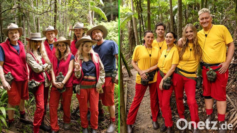 Die Bewohner des Dschungelcamps wohnen seit dem zweiten Tag alle zusammen. Bild: Patrick Heffels/RTL/dpa