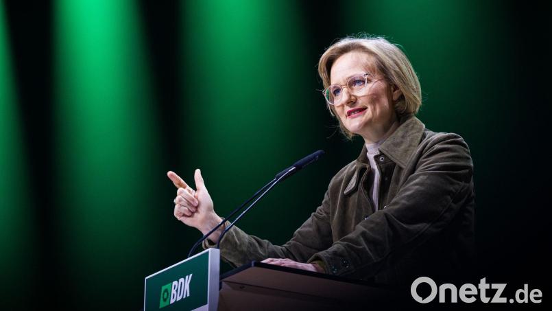 Grünen-Chefin Franziska Brantner spricht sich für mehr Unterstützung aus Deutschland für die Ukraine aus. (Archivbild) Bild: Moritz Frankenberg/dpa