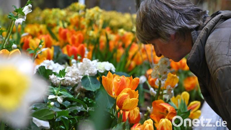 Die Besucherzahl auf der diesjährigen Woche übertraf die Erwartungen deutlich. (Archivbild) Bild: Elisa Schu/dpa