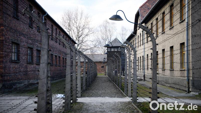 Mehr als eine Million Menschen wurden im Vernichtungslager Auschwitz-Birkenau von den Nazis ermordet. (Archivbild) Bild: Bernd von Jutrczenka/dpa