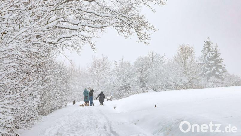 Äste oder Baumkronen können unter der Schneelast brechen und sogar ganze Bäume umstürzen. Bild: Daniel Löb/dpa