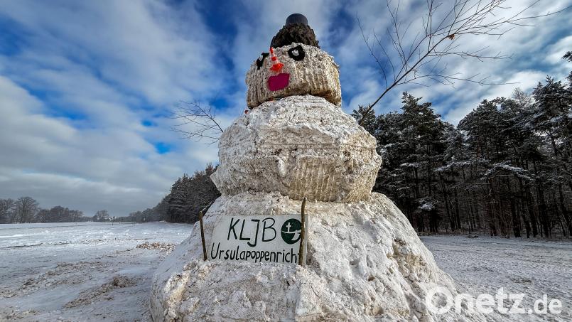 Dürfen wir vorstellen: Das ist "Christian". Gigantische 9,10 Meter groß, unten rund vier Meter breit und gebaut aus geschätzt 25 bis 30 Tonnen Schnee. Er steht seit Montagnacht an der B299 bei Kienlohe. Bild: Wolfgang Steinbacher