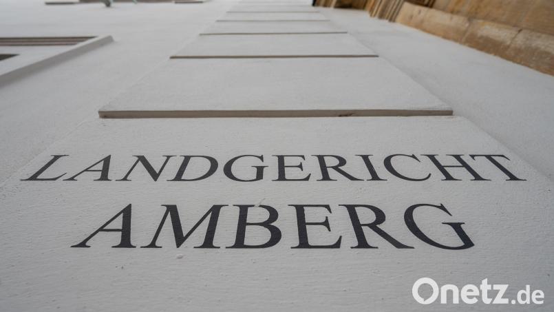 Das Amberger Landgericht beschäftigt sich derzeit mit einem Fall von ausufernder Brutalität. Symbolbild: Armin Weigel