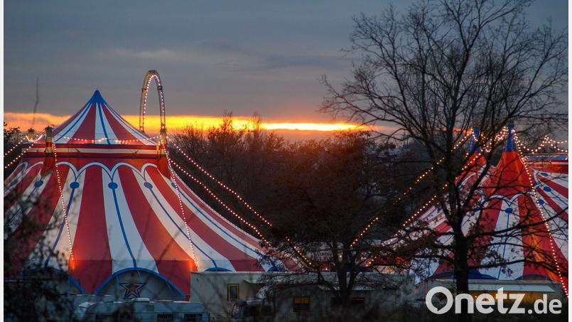 Zirkusbetriebe müssen an die Gema zahlen. (Symbolbild) Bild: Klaus-Dietmar Gabbert/dpa-Zentralbild/ZB