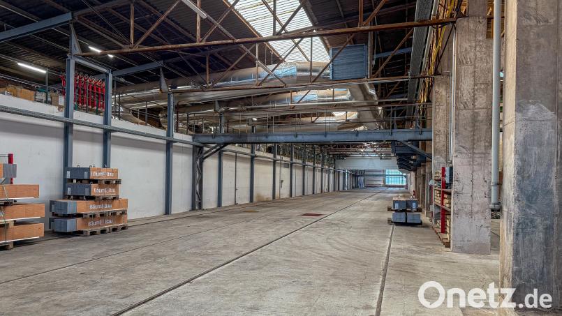 "Man sieht, dass man nichts sieht", sagt Firmenchef Thomas Bader mit Blick auf die Halle, in der der 88 Meter lange Ofen steht, der gerade allerdings aus ist. Bild: Stephan Huber