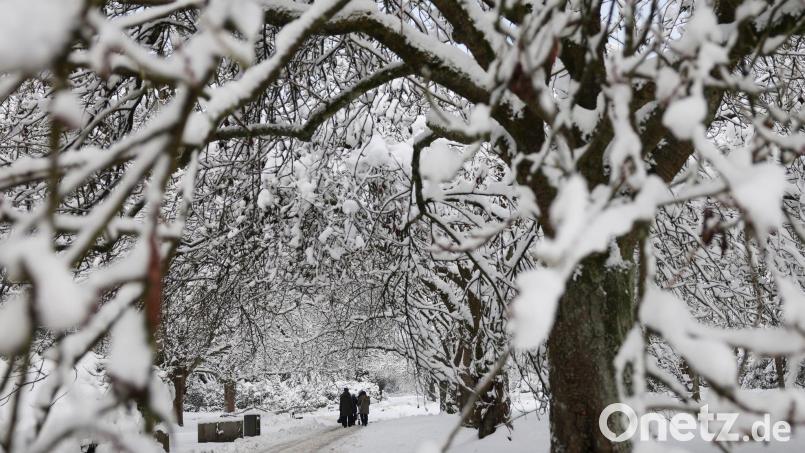 Die erhebliche Schneelast auf den Bäumen am Waldfriedhof Weiden kann zu brechenden Ästen führen. Deshalb bleibt der Friedhof für Besucher geschlossen. Ausnahme sind bereits terminierte Trauerfeiern und Beisetzungen. Symbolbild: Christian Charisius/dpa