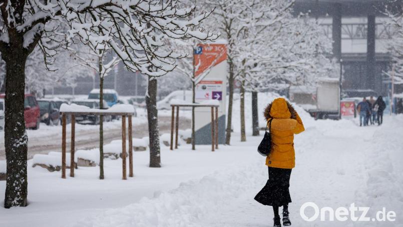 In Nürnberg hat sich viel Schnee auf den Ästen der Bäume gesammelt. Deshalb bleiben zwei große Friedhöfe vorsichtshalber geschlossen. (Symbolbild) Bild: Daniel Karmann/dpa