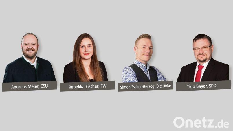 Vier Personen bewerben sich um das Amt des Landrats. Grafik: Oberpfalz-Medien – Bilder (von links): CSU Kreisverband Neustadt, Sandra Dobmeier/Fotostudio FotoGen, Die Linke, Foto Hübner Neustadt/WN