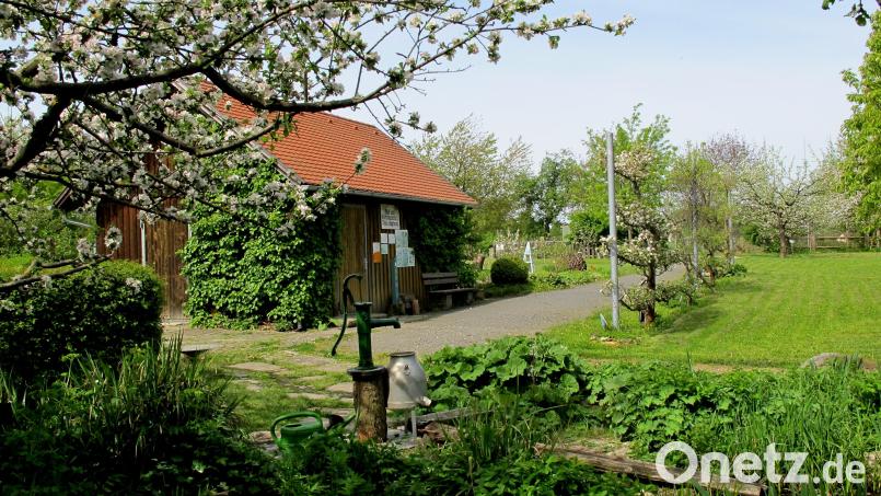 Ein Blick in den Kreislehrgarten „Garten der Sinne“ des Obst- und Gartenbauvereins Floß. Bild: Fred Lehner