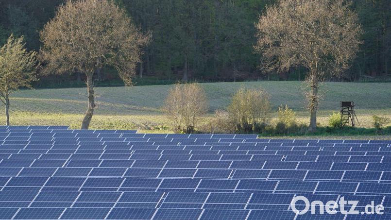 Weil die notwendigen Baugrundgutachten für den Sonnenpark „Falkenberg Thann“ bislang fehlen, mussten die vor mehreren Monaten getroffenen Entscheidungen aufgehoben werden. Symbolbild: Marcus Brandt/dpa