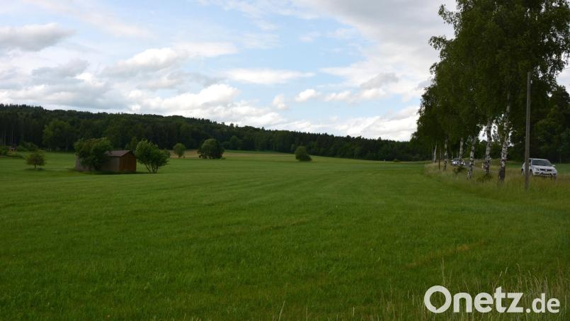 Auf Ablehnung im Gemeinderat stieß der geplante Bürgersolarpark Pechbrunn, der auf dieser rund 9,66 großen Fläche hätte entstehen sollen. Rechts im Bild die Staatsstraße von Pechbrunn in Richtung Konnersreuth. Bild: jr