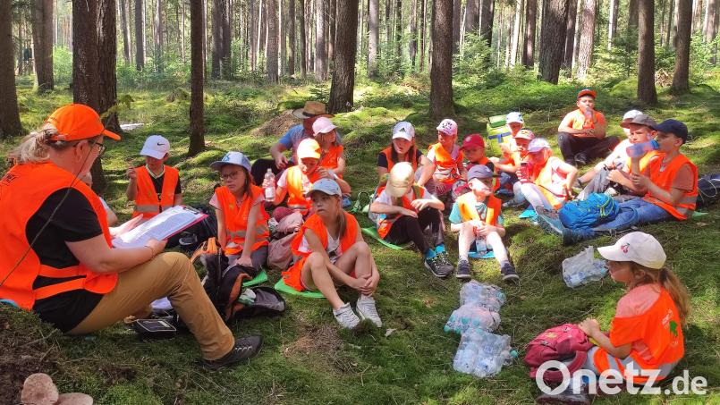 Wald- und Erlebnispädagogik gehören zu den Aktionen des Feriencamps in Waidhaus, für das noch Anmeldungen möglich sind. Archivbild: Erika Grötsch