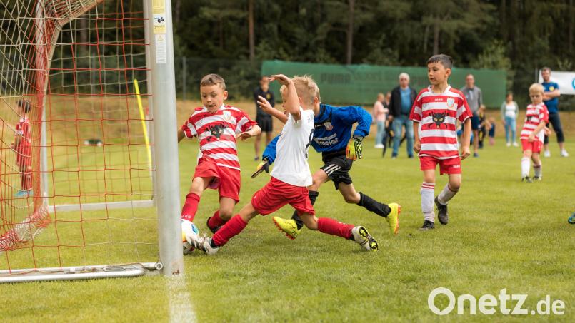 Hundert Kinder aus zehn Vereinen der Umgebung werden neben den Erwachsenen um den Adler-Cup spielen. Bild: Werner Härtl