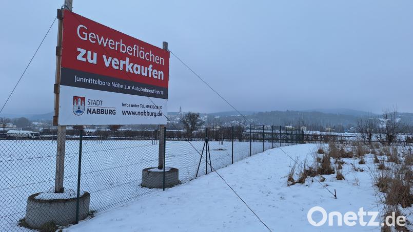 Noch wirbt die Stadt Nabburg für den Kauf einer Gewerbefläche im Baderfeld direkt an der Autobahn. Viel ist allerdings nicht mehr übrig. Bild: bl