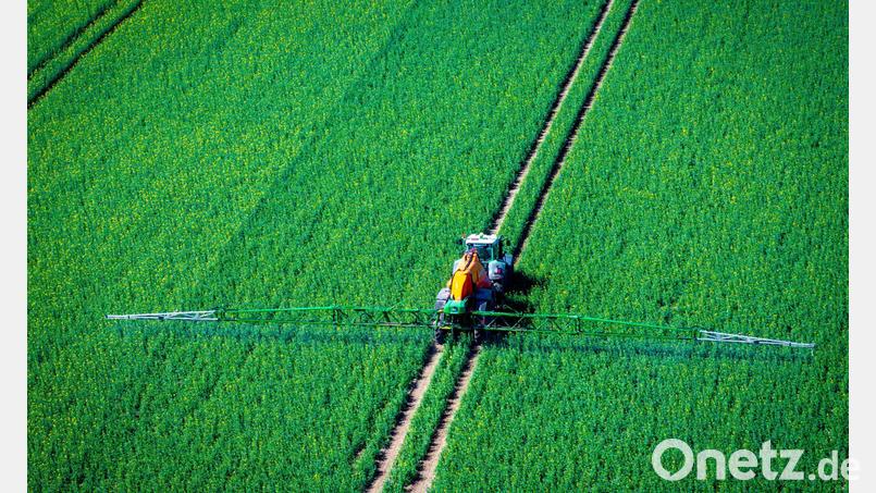 Pflanzenschutzmittel belasten Nützlinge im Boden (Archivbild) Bild: Jens Büttner/dpa