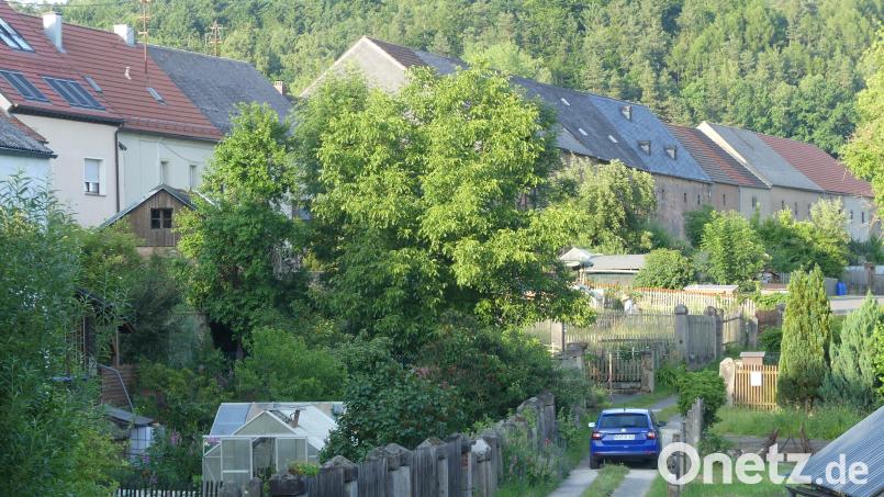 Wegen der Wasserversorgung dieser Schrebergärten an der Südseite der Altstadt von Neustadt am Kulm werden noch viele Gespräche geführt werden müssen. Bild: rn
