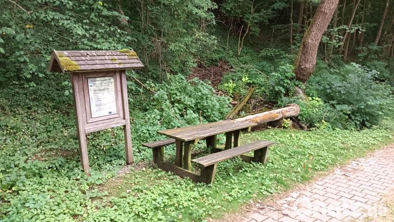 Seit 2021 ist eine Aufhübschung der "Brunngassquelle" im Gespräch. Der Bürgerhaushalt der Stadt Pressath könnte einen Weg eröffnen, das einst als Waschplatz, Trinkwasserquelle für Menschen und Vieh und zur Wiesenbewässerung genutzte Naturdenkmal in einen attraktiven Rastort für Spaziergänger und Wanderer zu verwandeln. Bild: Bernhard Piegsa