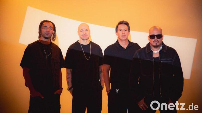 Die Band Culcha Candela kommt nach Burglengenfeld. Bild: Leon Hahn/exb