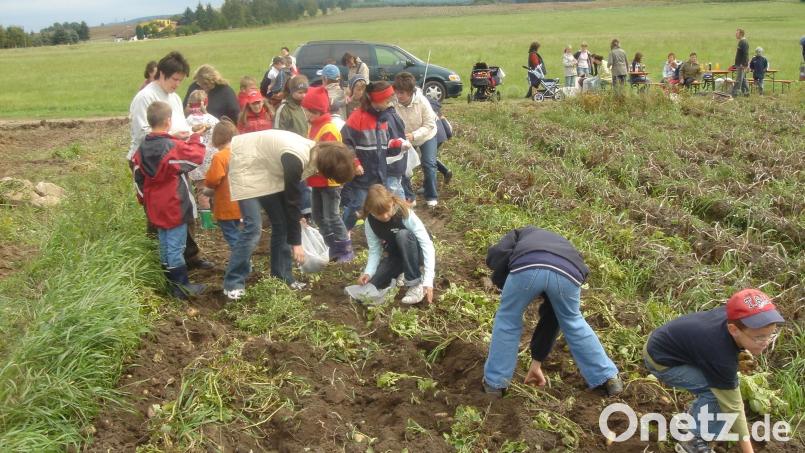 Beim Kinderferienprogramm in Eslarn geht's auch auf einen Kartoffelacker. Archivbild: buc