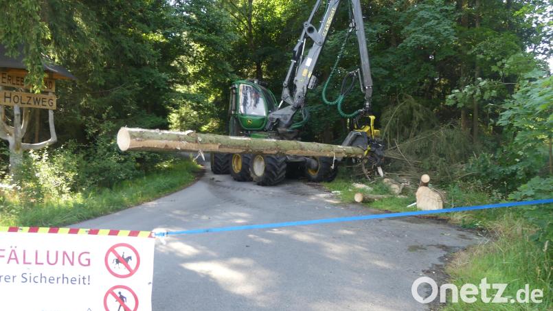 Die Fällarbeiten am "Holzweg" machen jede Passage unmöglich. Bild: rn