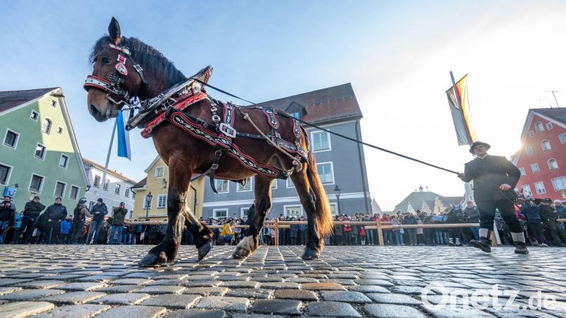 Pferde werden beim Berchinger Rossmarkt durch die Innenstadt geführt. Jedes Jahr kommen Tausende Besucher zu dem eintägigen Wintervolksfest, um prachtvoll geschmückte Pferde und Gespanne zu sehen. Bild: Armin Weigel/dpa