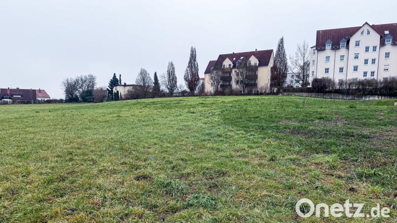 Zwischen Loderhof- und Mozartstraße entsteht ein neues Baugebiet. Nach aktuellem Planungsstand geht es Ende 2026 los, vorgesehen sind 22 Parzellen – die Zahl kann sich jedoch noch geringfügig ändern, sagt der Stadtbaumeister. Bild: Stephan Huber