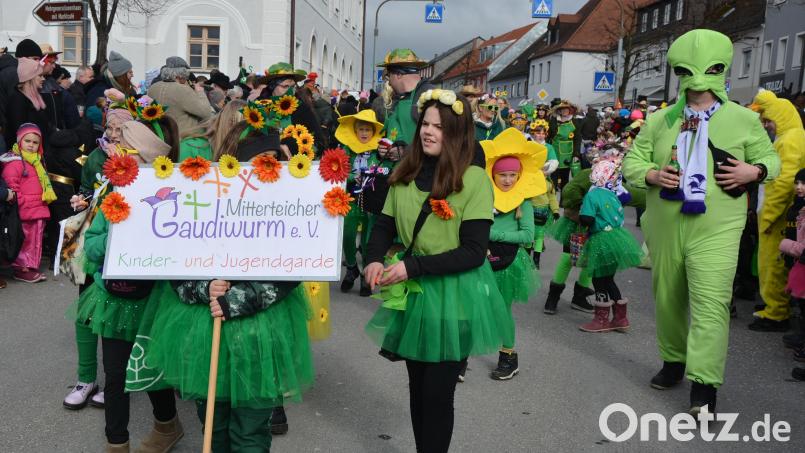Fröhlich und bunt dürfte es beim 17. Mitterteicher Gaudiwurm am 14. Februar zugehen. Ob auch wieder Blumen-Mädchen und grüne Aliens dabei sind, so wie beim Umzug im Vorjahr, wird sich zeigen. Archivbild: jr
