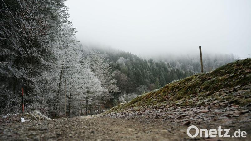 Die Wetteraussichten sind trist. (Symbolbild) Bild: Malin Wunderlich/dpa