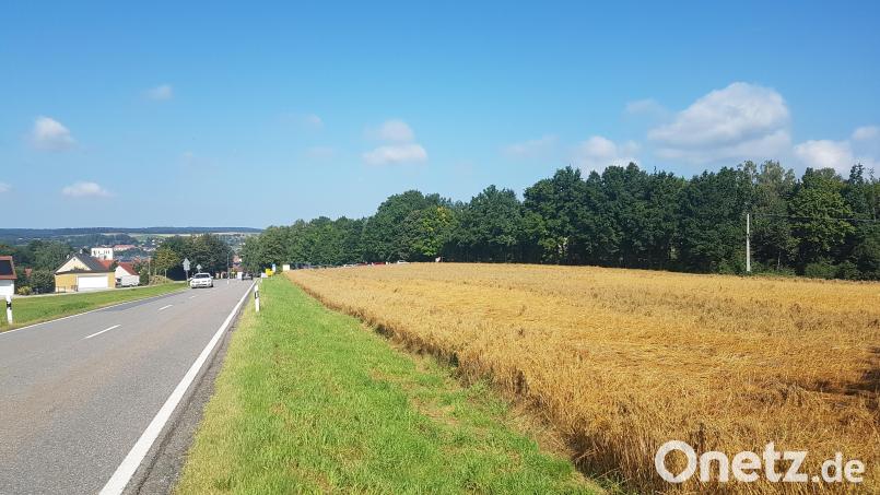 Bürgermeister Armin Bulenda stellte das Sondergebiet für großflächige Einzelhandelsbetriebe, für Erholung und Parken (rechte Fläche auf dem Bild) vor. Im Hintergrund Moosbach und Schloss Burgtreswitz. Bild: gi