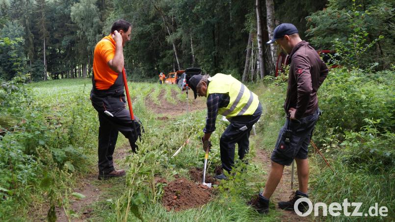 Feldgeschworener Franz Stockerl (Mitte) hebt im Beisein von Albert Gleißner (links) und Korbinian Vogl (rechts) das Loch für den Grenzstein aus. Bild: wel
