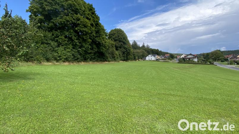 Die Busch- und Baumreihe soll zur Wasserrückhaltung auf alle Fälle erhalten werden. Bild: Josef Glas