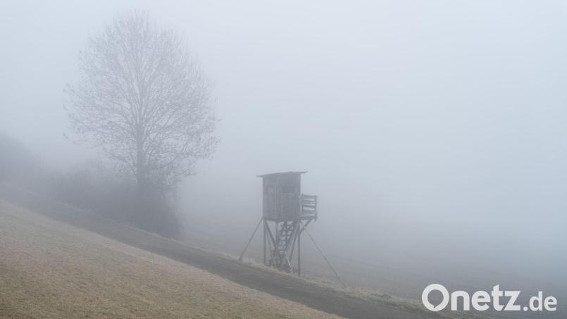 In vielen Teilen Bayerns wird Nebel erwartet. Bild: Silas Stein/dpa