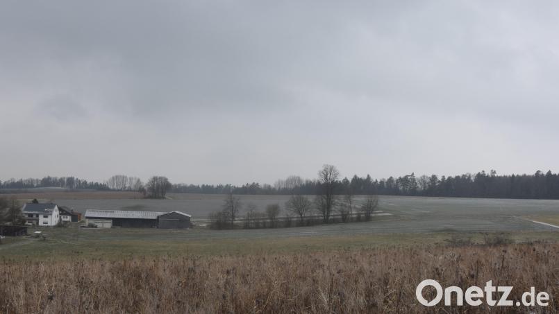 Oben am Wald bei Roschau ist der Solarpark in Planung. Die Roschauer sind dagegen. Bild: fz