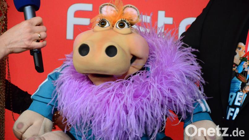 Amanda: "Ich vermiss den Stummi ganz besonders." Bild: Kunz