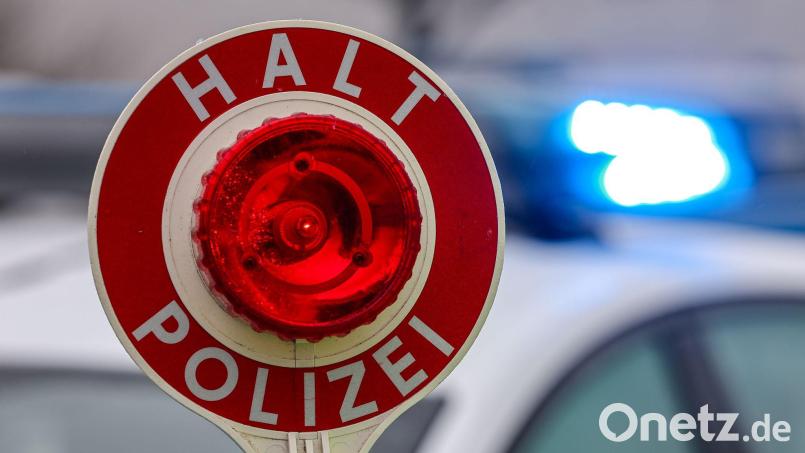 Kontrolle kurz nach der Grenze: Die Polizei hat einen Wagen kontrolliert und einen vier Wochen alten Hund ohne Papiere gefunden. (Symbolbild) Bild: Jan Woitas/dpa