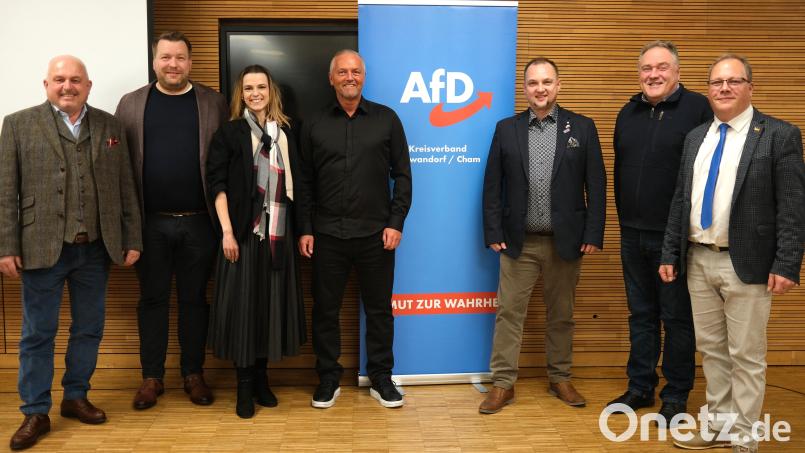 Wahlkampfauftakt der AfD in Schwandorf (von links): MdB Reinhard Mixl, MdB Marcel Queckemeyer, MdB Carina Schießl, OB-Kandidat Roland Kraus, Landratskandidat Thomas Borcuch, MdB Manfred Schiller und Bürgermeisterkandidat Tobias Gasparin. Bild: Hirsch