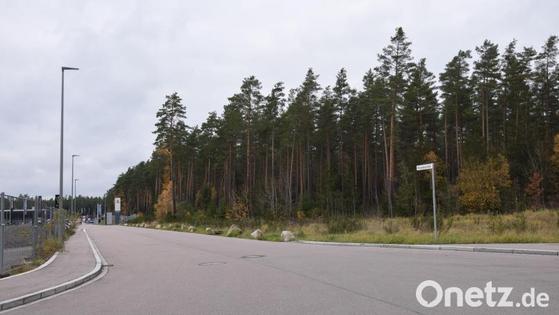 Das Ebermannsdorfer Industriegebiet Schafhof Ost soll erweitert werden. Die Rodungsarbeiten für das Grundstück sind bereits gestartet. Archivbild: wüw