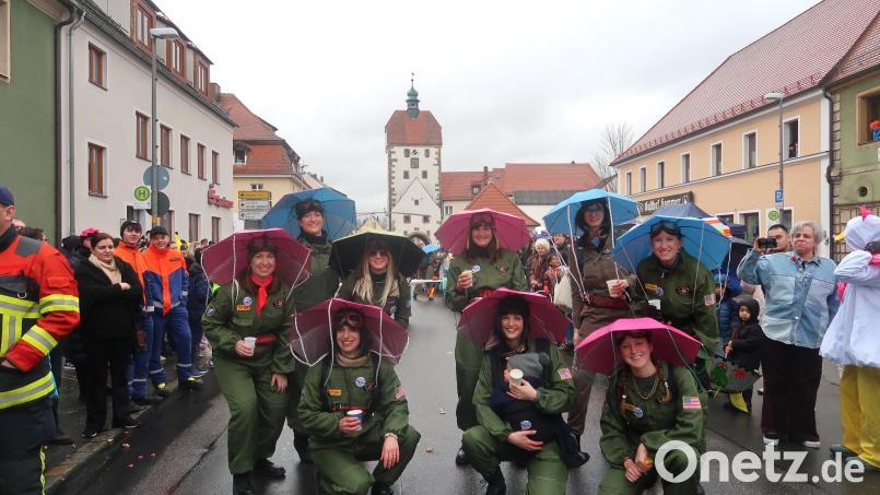 Die Ebersbacher Bruchpiloten beim Faschingszug in Vilseck. Das Bild entstand 2024. Archivbild: rha