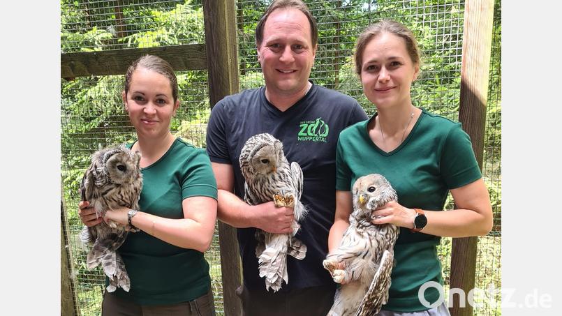 Veterinär Dr. Dominik Fischer hat mit seiner Frau Dr. Luisa Fischer (links) sowie Praktikantin Marie-Luise rund ein Dutzend Vögel mit Sendern ausgestattet. Bild: VLAB/exb