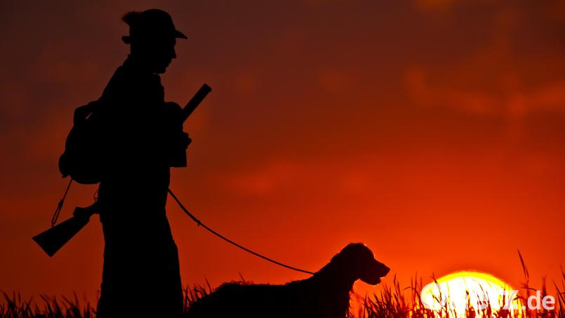 Die Staatsregierung hat ihren internen Streit über ein neues Jagdgesetz für Bayern beigelegt. Symbolbild: Patrick Pleul/dpa
