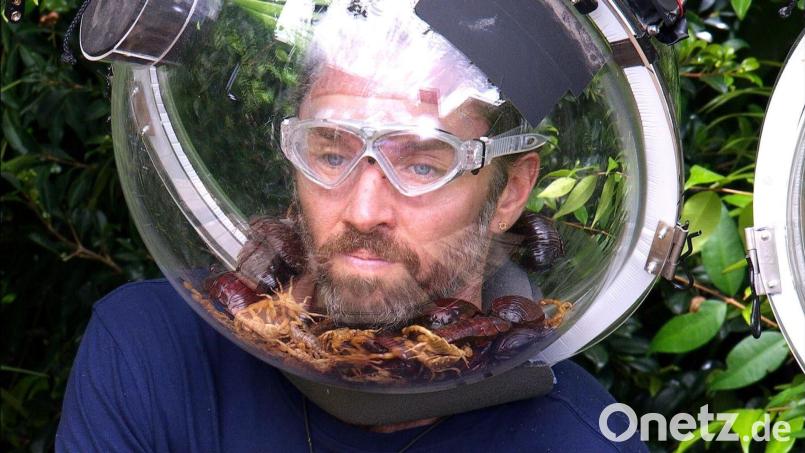 Auch das krabbeligste Getier konnte ihn nicht stoppen: Musiker Gil Ofarim ist Dschungelkönig. Bild: RTL/dpa