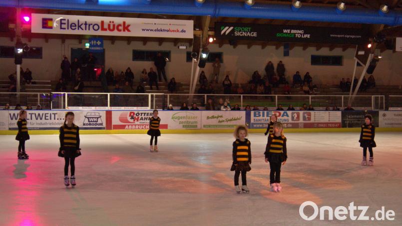 Kleine Bienen schwirrten zu Beginn über die Eisfläche. Bild: Valerie Preiß