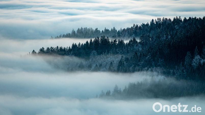 Stille Schönheit im Bayerischen Wald. Niederbayern und die Oberpfalz verzeichneten in der Tourismusbilanz 2025 den größten Gästezuwachs. (Archiv) Bild: Armin Weigel/dpa
